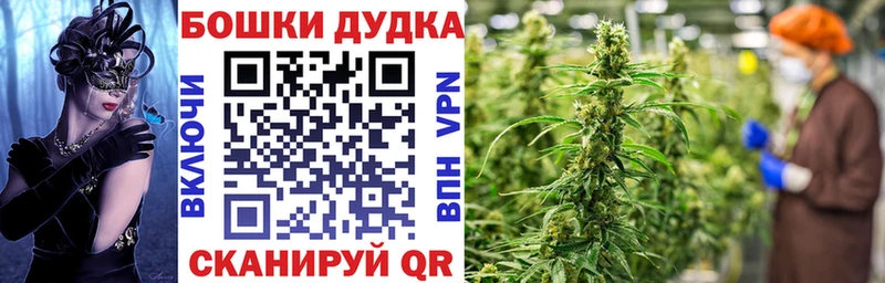 Бошки Шишки MAZAR  Купить где  Приозерск 